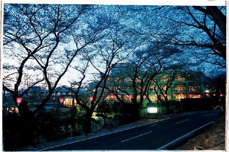 Mikasa Hotel Nara Bagian luar foto